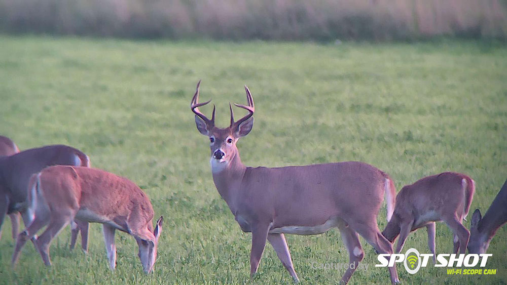 Spot Shot Wifi Spotting Scope Camera Shooting Made Easy